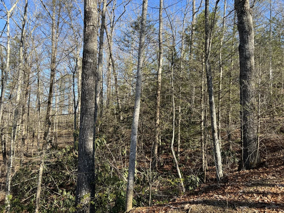 Unit for sale at 1404 TIMBER TRL, Newport, TN 37821