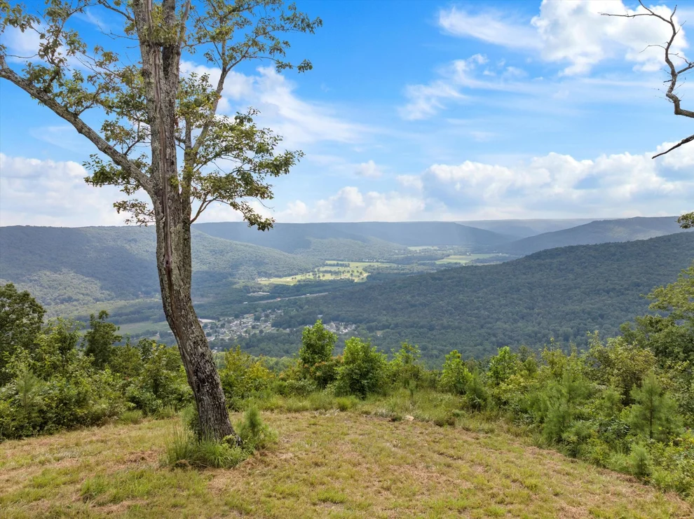 Unit for sale at 0 Bobcat Trail, Jasper, TN 37347