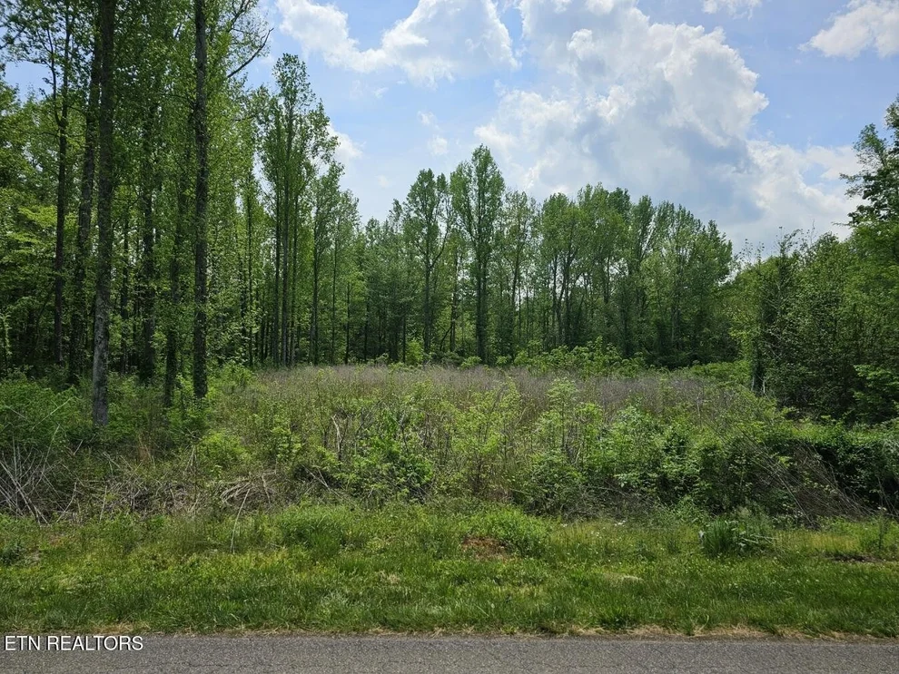 Unit for sale at 0 Old Mine Rd, Sweetwater, TN 37874