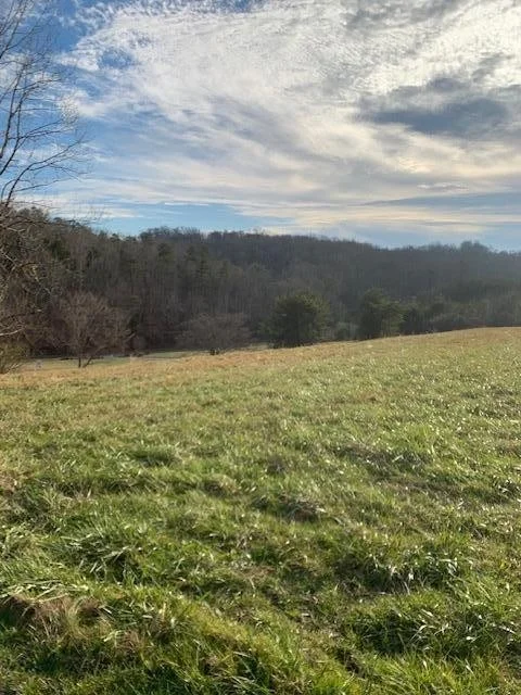 Unit for sale at 135 Hughes Rd, Greenback, TN 37742