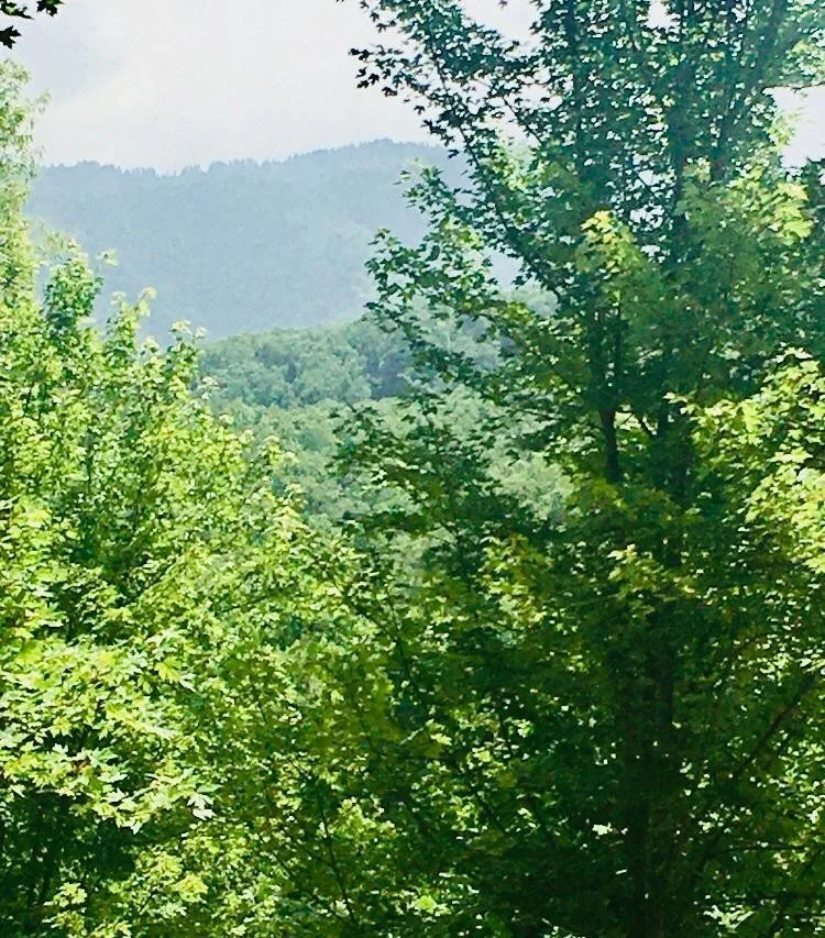 Unit for sale at 0 Baby Bear Trail, Gatlinburg, TN 37738
