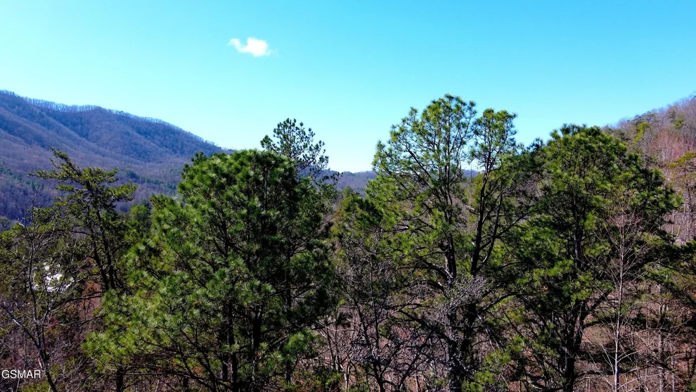 Unit for sale at 4 Walden Ridge Road, Sevierville, TN 37862