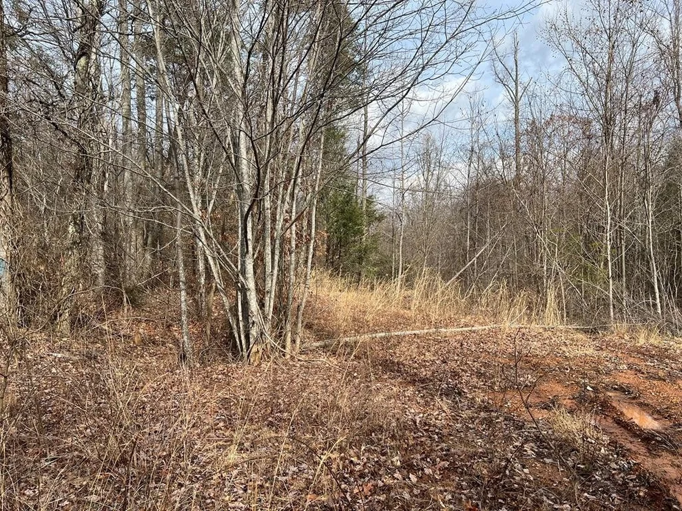Unit for sale at 0 Blue Springs Road, Newport, TN 37821
