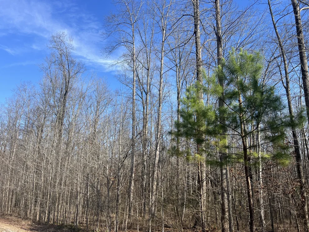 Unit for sale at 240 War Eagle Dr, Cedar Grove, TN 38321
