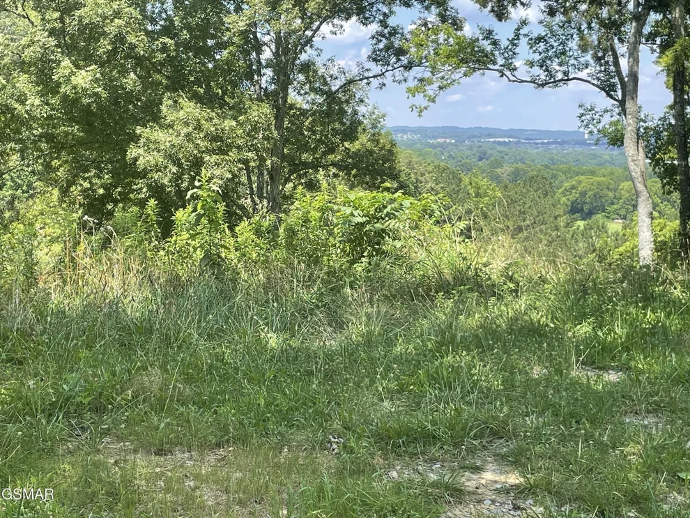 Unit for sale at 2 King Estates Road, Sevierville, TN 37876