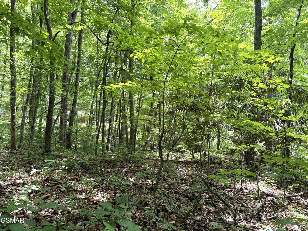 Unit for sale at 10 Swan Saddle, Sevierville, TN 37876