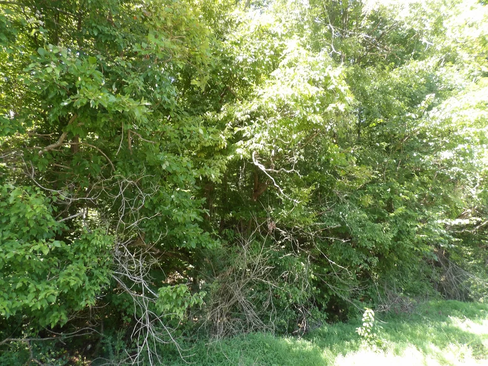 Unit for sale at 0 Highway 13 South, Waverly, TN 37185