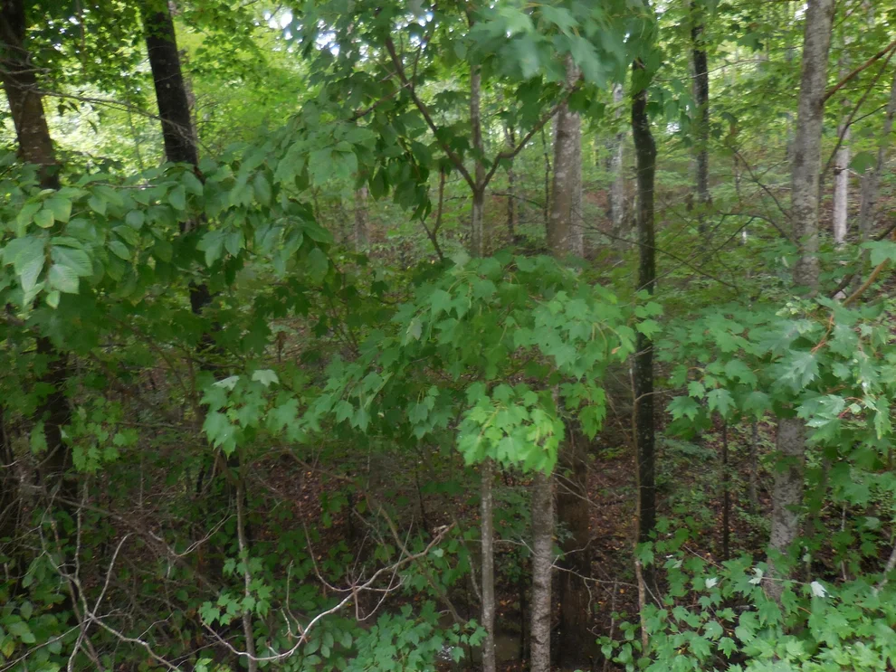 Unit for sale at 46 Murray Ridge Road, Sevierville, TN 37876