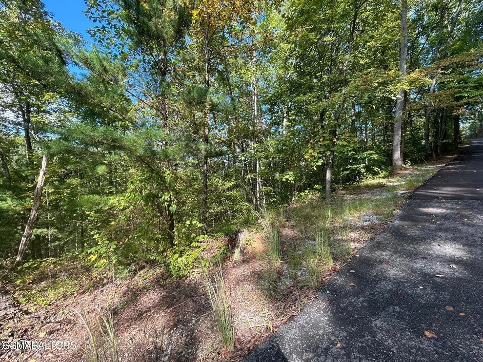 Unit for sale at 9 Wildcat Ridge Road, Sevierville, TN 37862