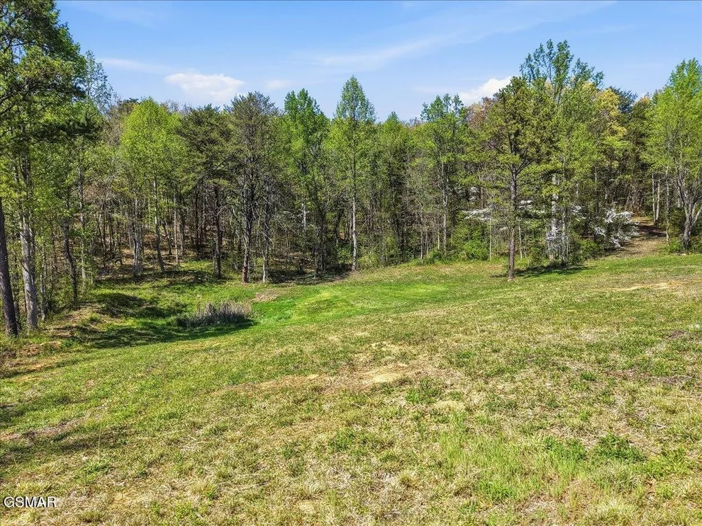Unit for sale at 2535 Dark Hollow Road, Cosby, TN 37722