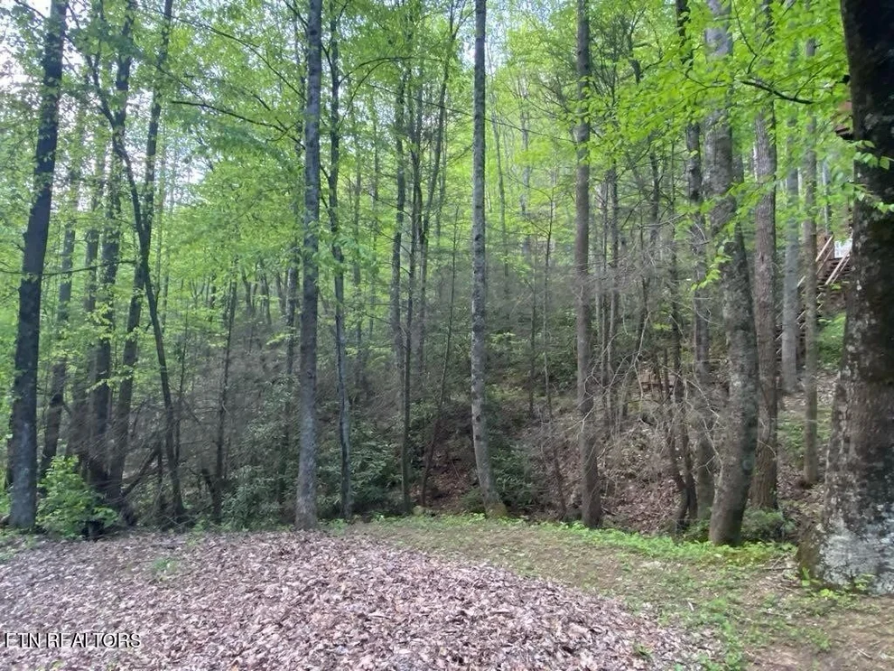 Unit for sale at 26 Alpine Drive, Sevierville, TN 37876