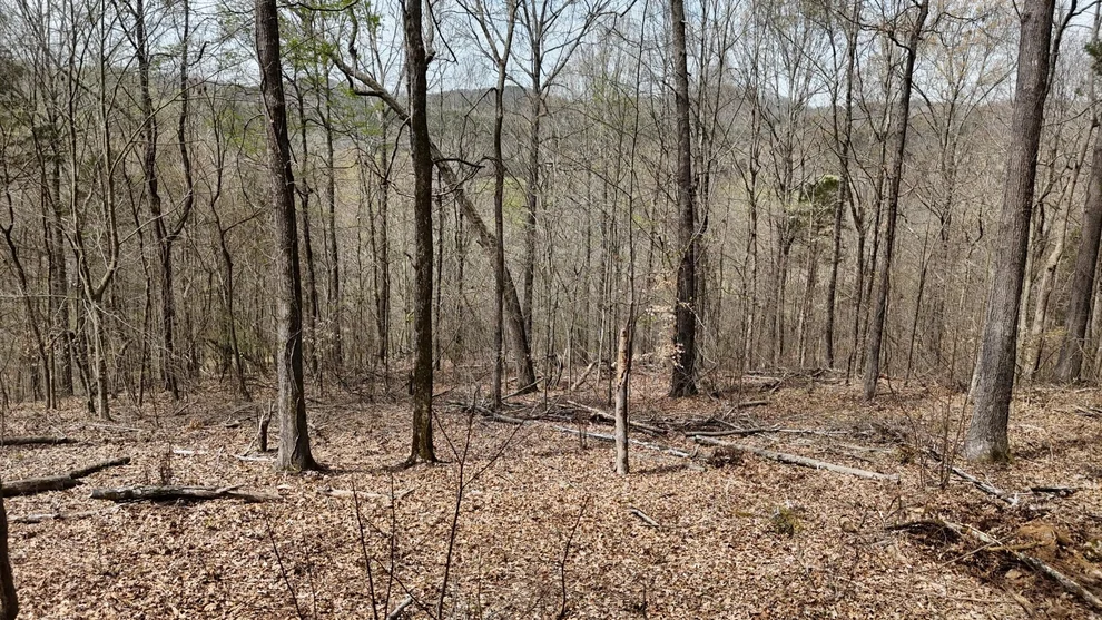 Unit for sale at 567 Geren Subdivision Lane, Decatur, TN 37322
