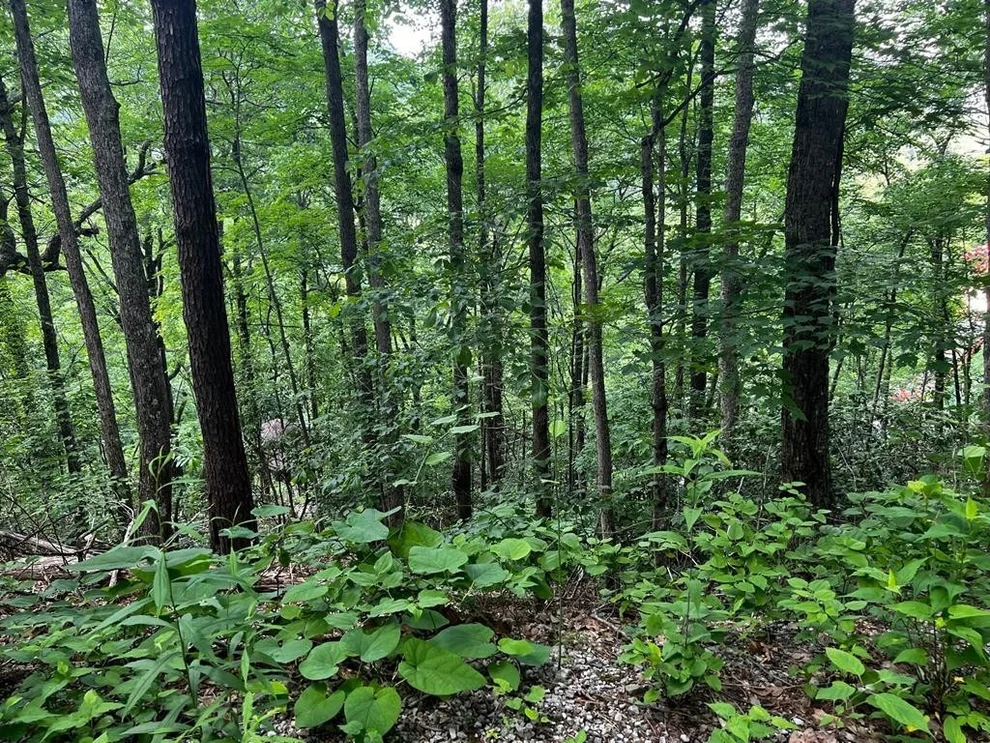 Unit for sale at 0 Baden, Gatlinburg, TN 37738