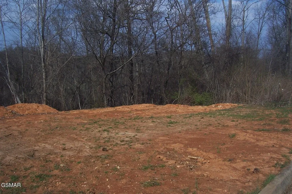 Unit for sale at 141 Low Valley Rd, Dandridge, TN 37725