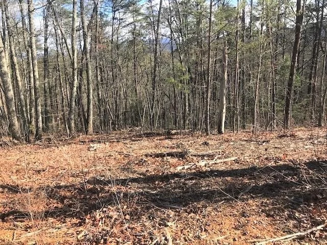 Unit for sale at 33 Storm Bringer Drive, Sevierville, TN 37862