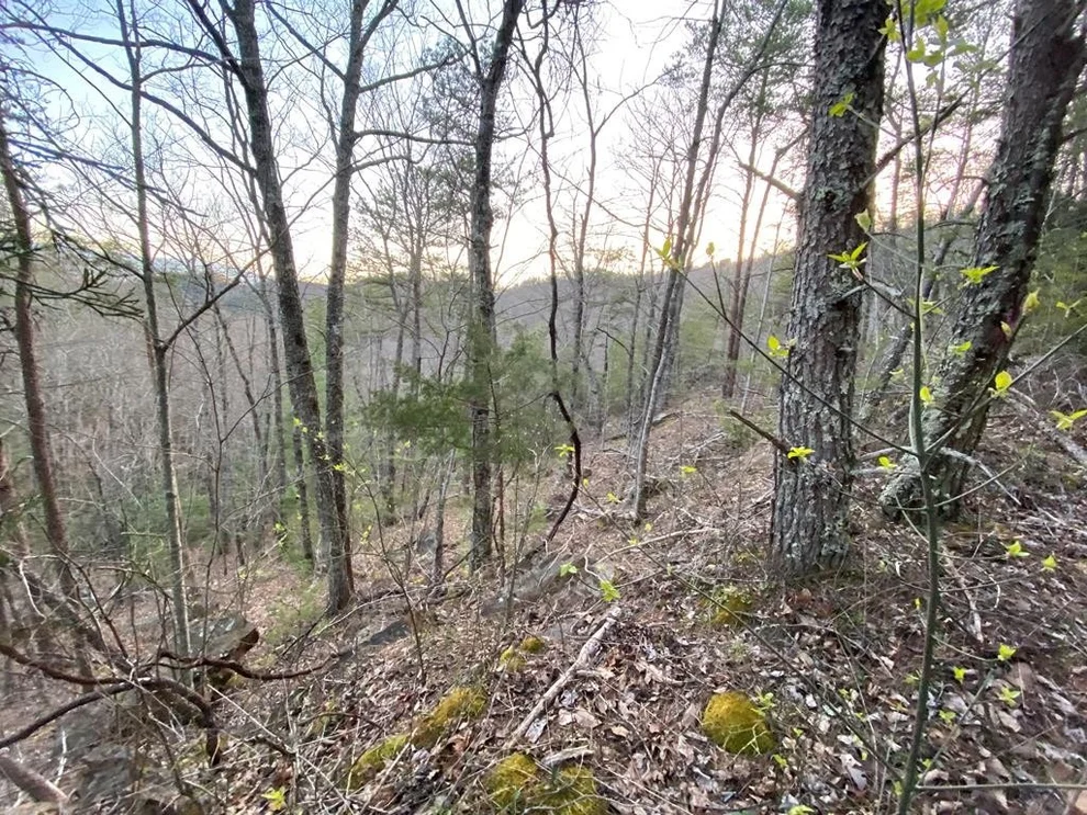 Unit for sale at 46 Beechwood Street, Sevierville, TN 37876