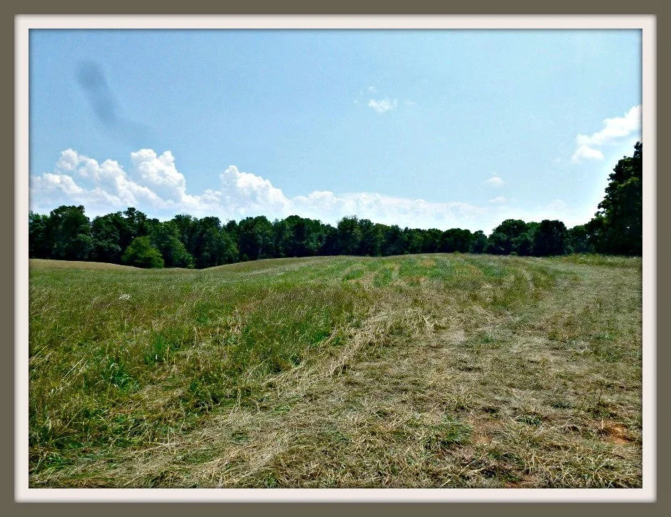 Unit for sale at 9 Burchfield Rd, Dandridge, TN 37725