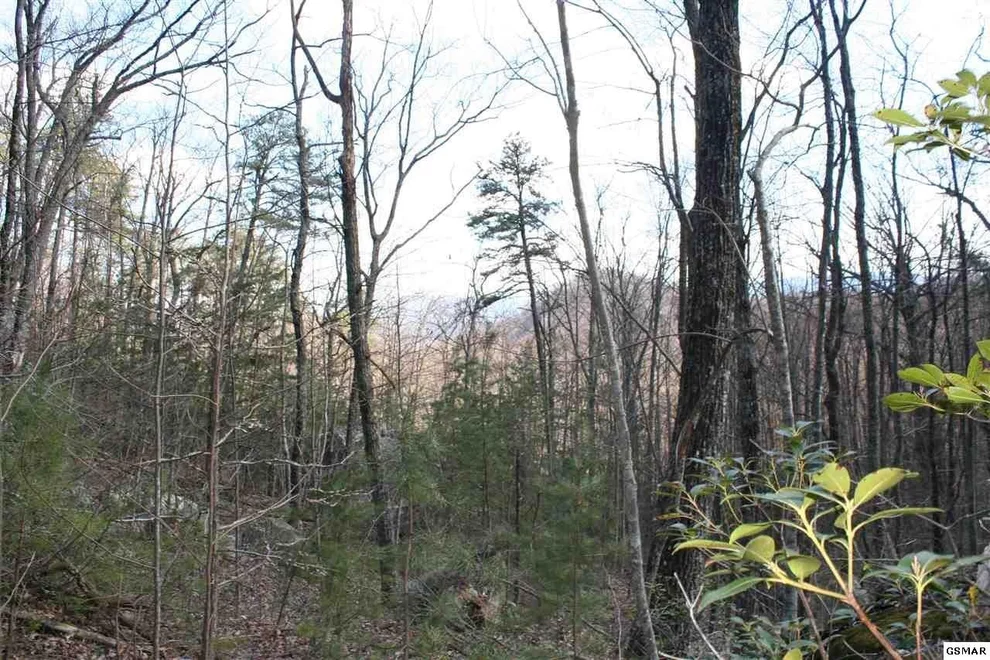 Unit for sale at 0 houge, Cosby, TN 37722