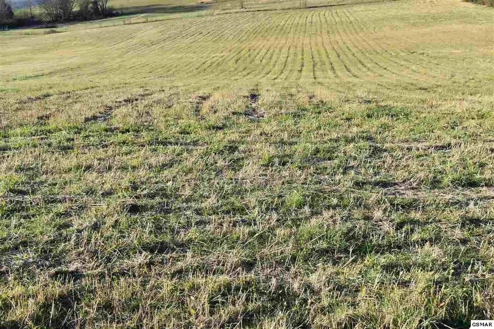 Unit for sale at 3 Mccleary Road, Sevierville, TN 37876
