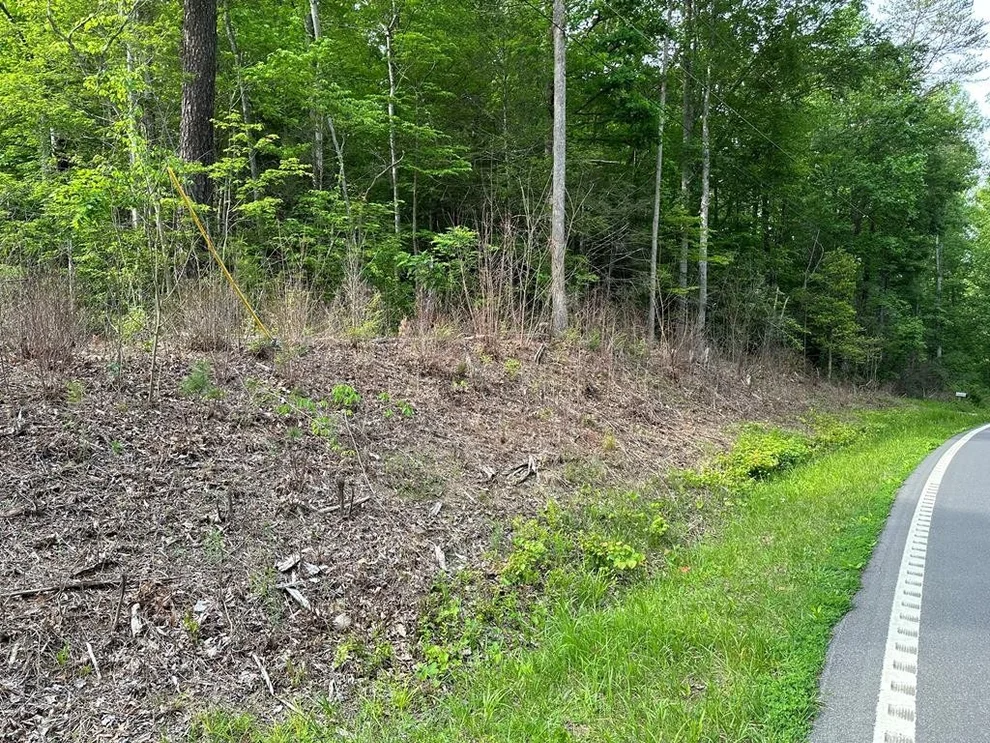 Unit for sale at 0 Hwy 32, Cosby, TN 37722