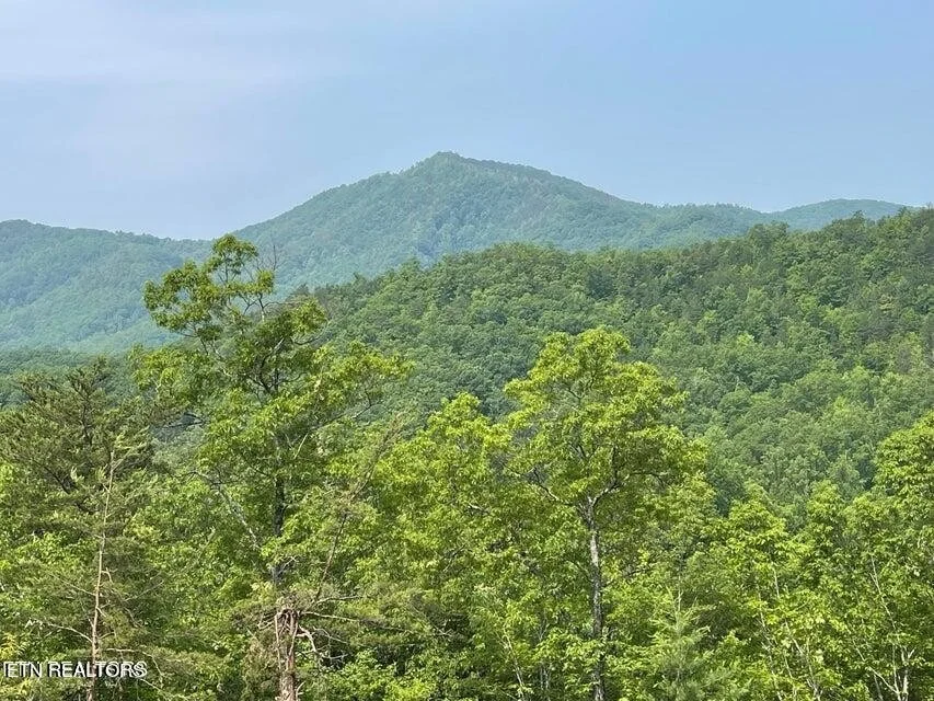 Unit for sale at 1 Caney Creek Rd, Pigeon Forge, TN 37863