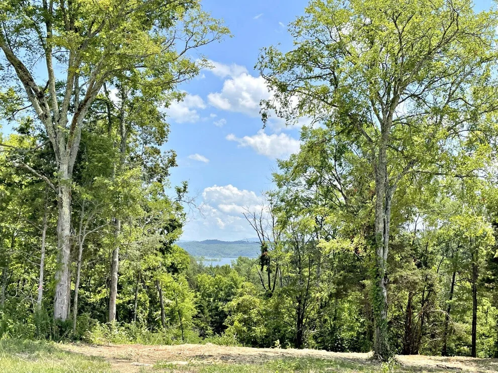Unit for sale at 53 Clear Sail Way, Dandridge, TN 37725