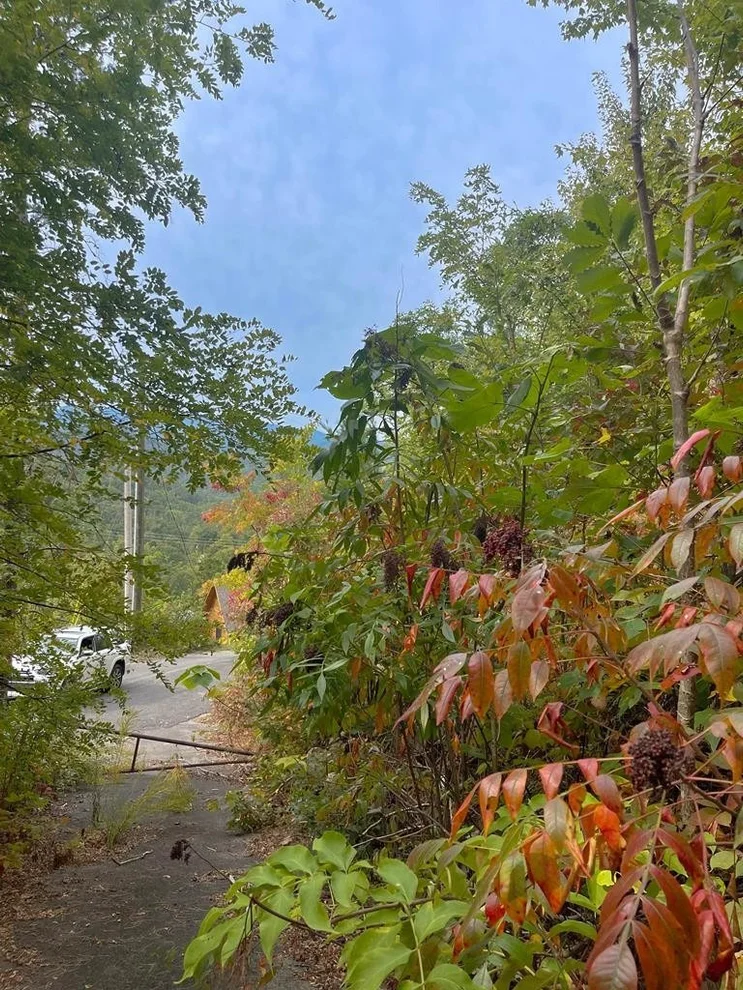 Unit for sale at 1271 Appalachian Lane, Gatlinburg, TN 37738