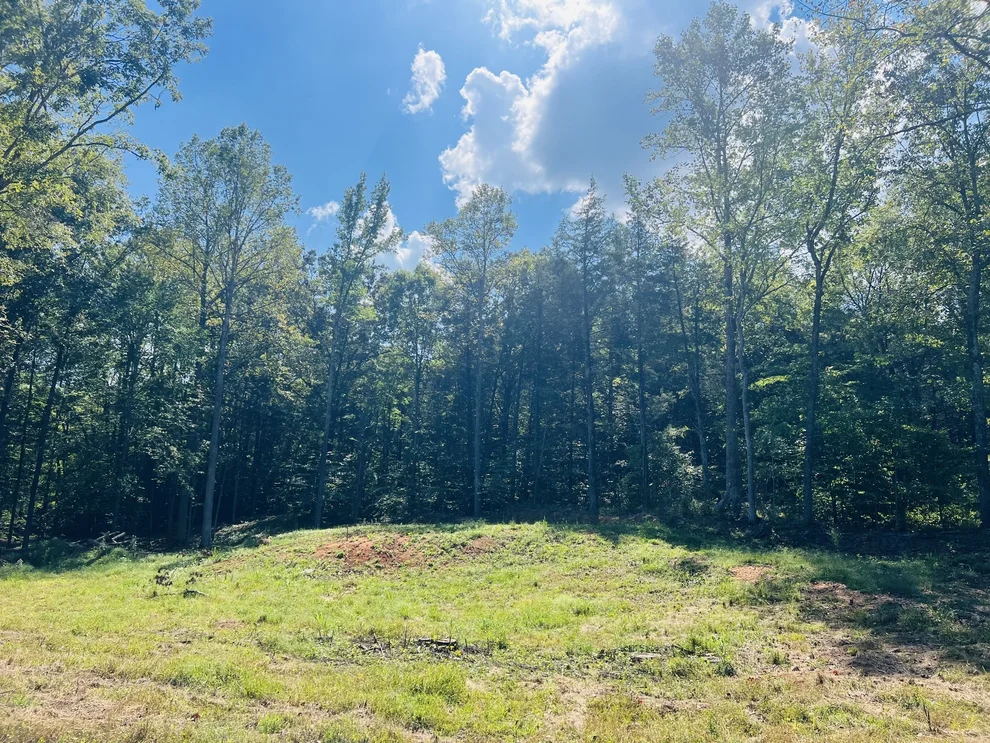 Unit for sale at 0 Excalibur Trail, Cedar Grove, TN 38321