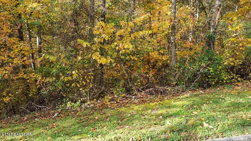 Unit for sale at 85 Smoky Cove Rd, Sevierville, TN 37876