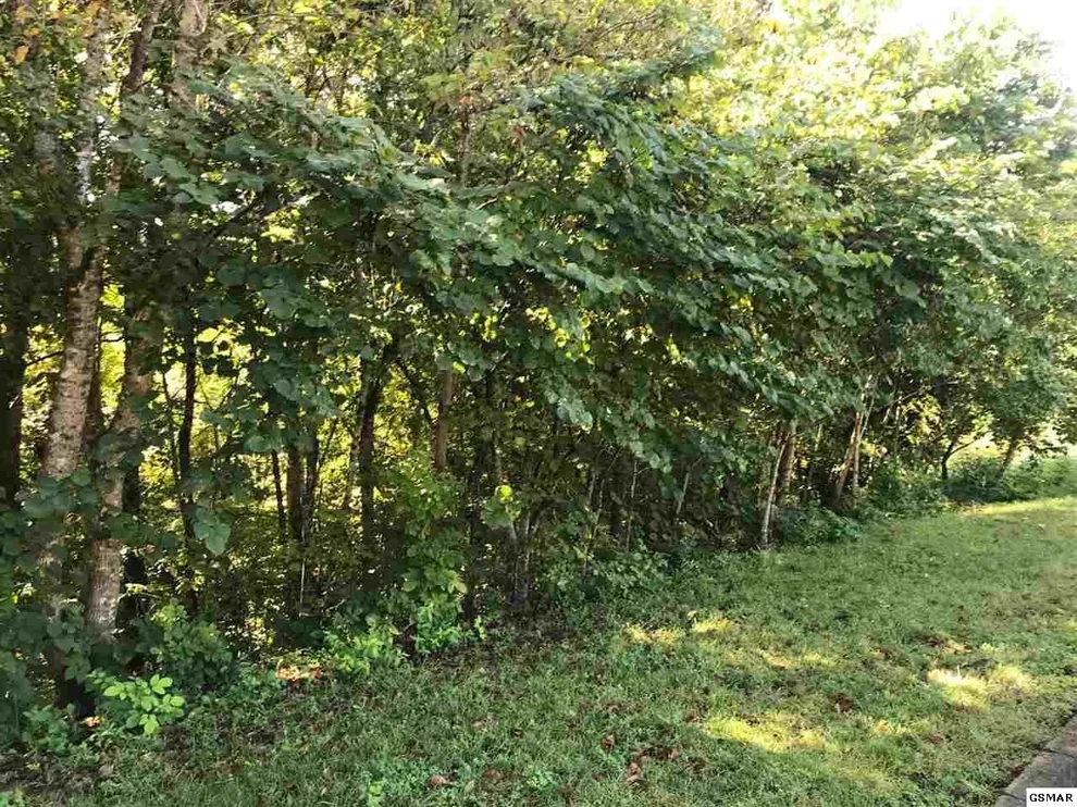 Unit for sale at 36 Longspur Trail, Sevierville, TN 37862