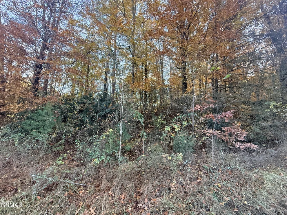 Unit for sale at 4243 Deerfoot Road, Newport, TN 37821