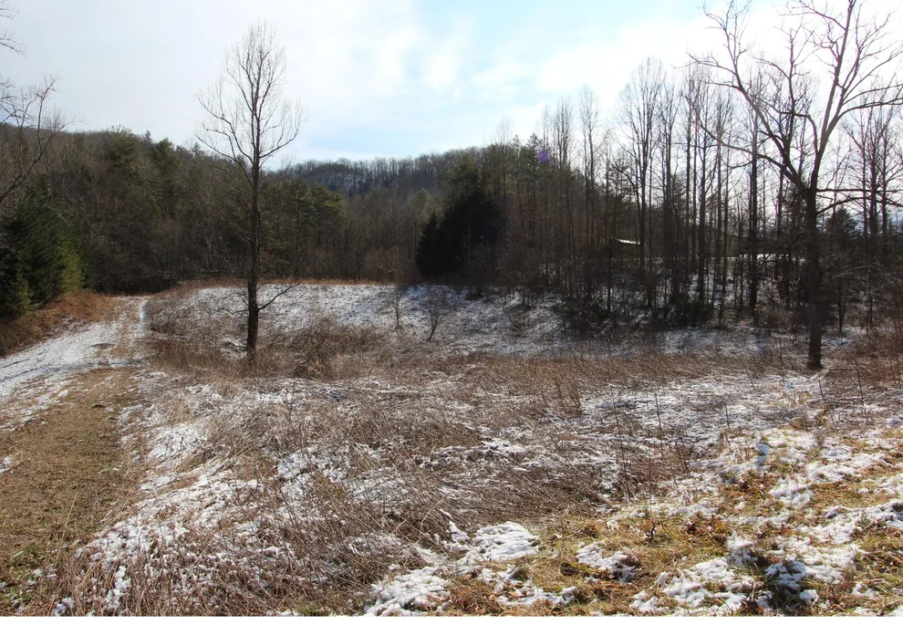 Unit for sale at 1721 S Highway 107, Del Rio, TN 37727