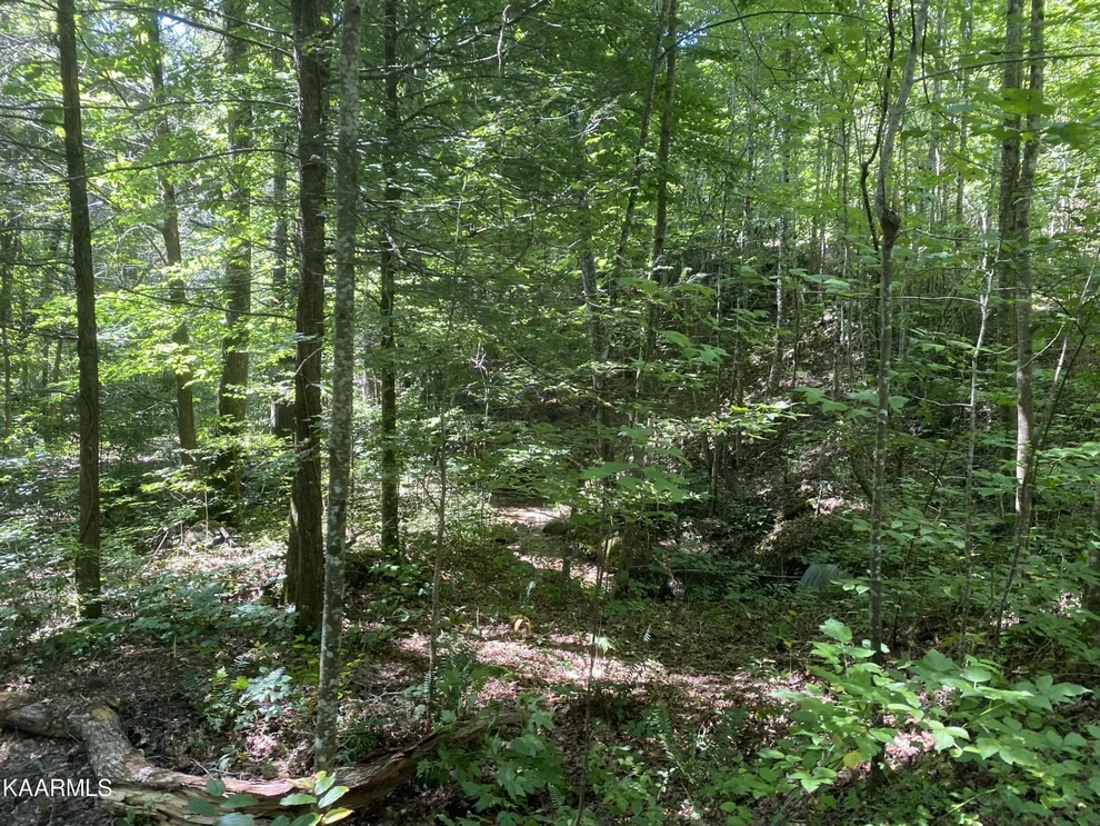 Unit for sale at 1882 Obes Branch Rd, Sevierville, TN 37876