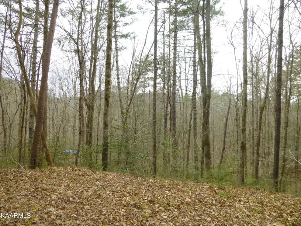 Unit for sale at 0 Waldens Creek Rd, Sevierville, TN 37876