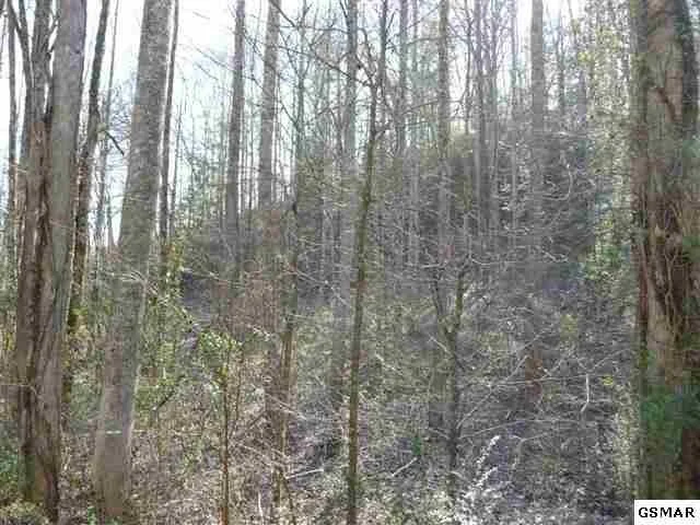 Unit for sale at 15 RUBICON Ridge, Sevierville, TN 37862