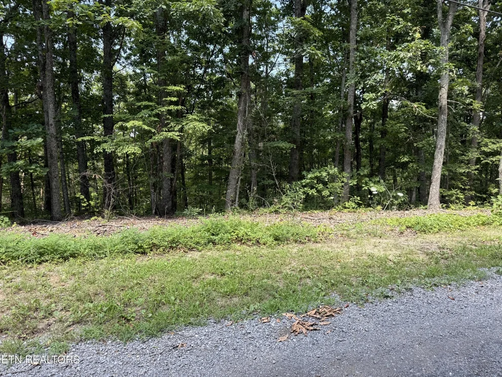 Unit for sale at 36 Pecan Lane, Newport, TN 37821