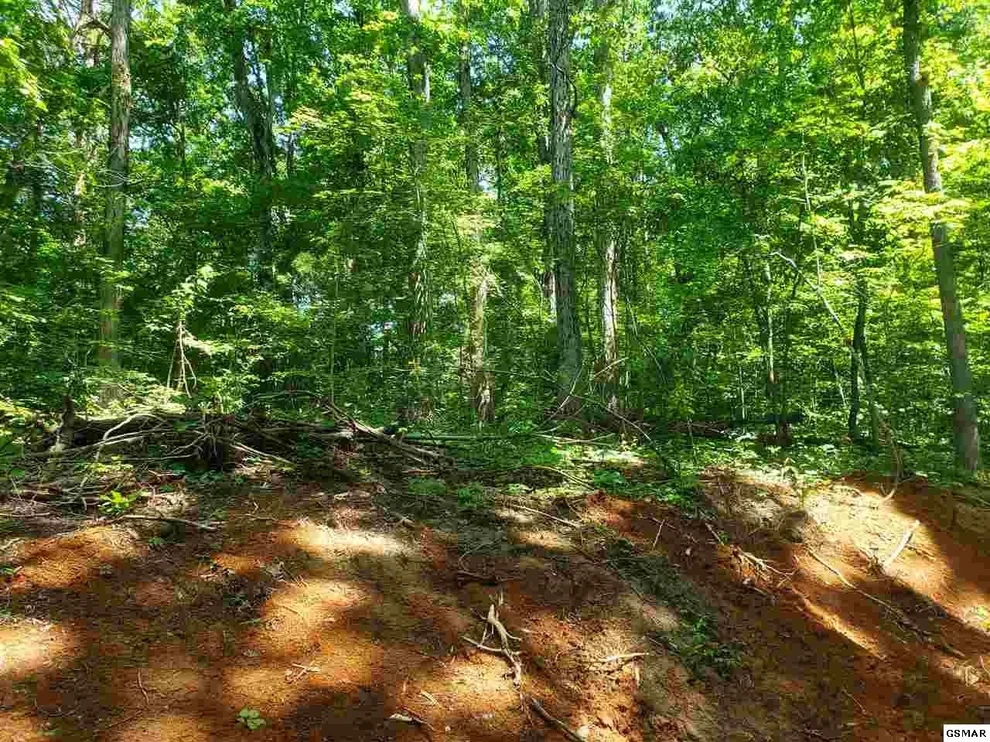 Unit for sale at 0 Lot Murphy Farm Way, Sevierville, TN 37876