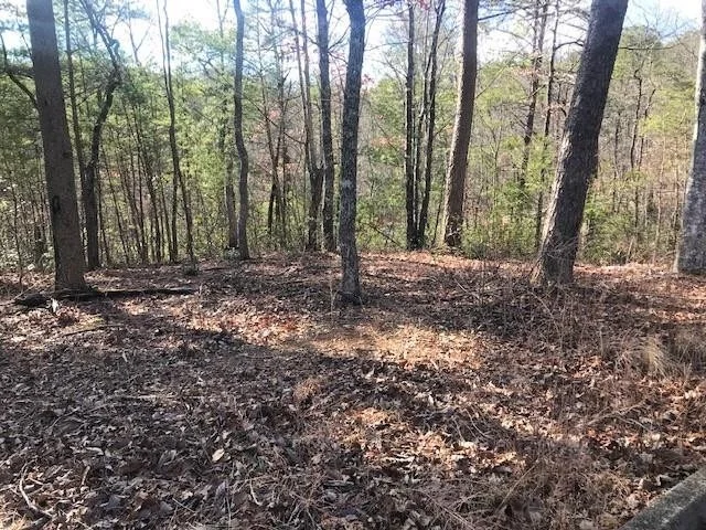 Unit for sale at 43 Storm Bringer Drive, Sevierville, TN 37862