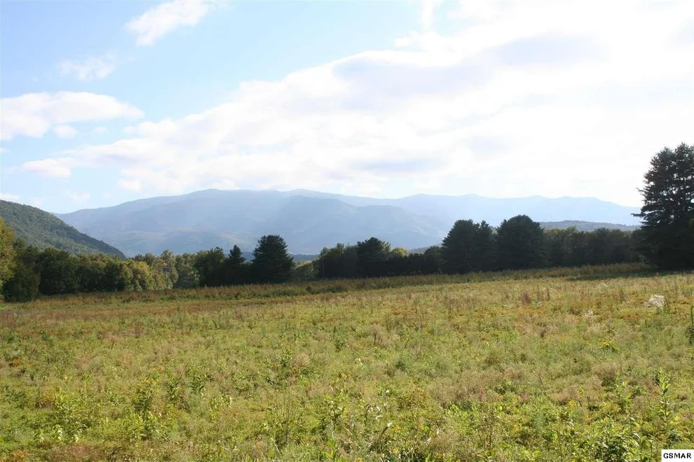 Unit for sale at 0 Holders Grove, Cosby, TN 37722