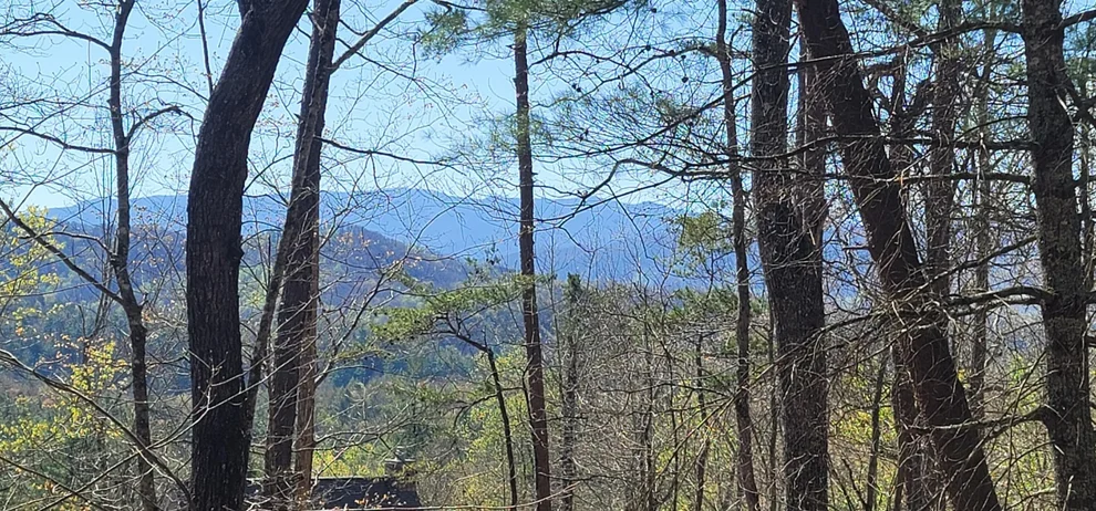 Unit for sale at 37 Chinquapin, Sevierville, TN 37876