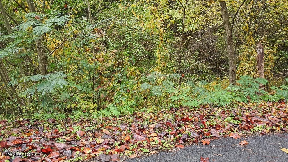 Unit for sale at 1 Flat Branch Rd, Gatlinburg, TN 37738