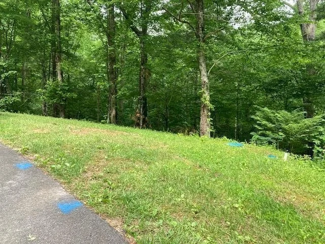 Unit for sale at 0 Laurel Road, Townsend, TN 37882