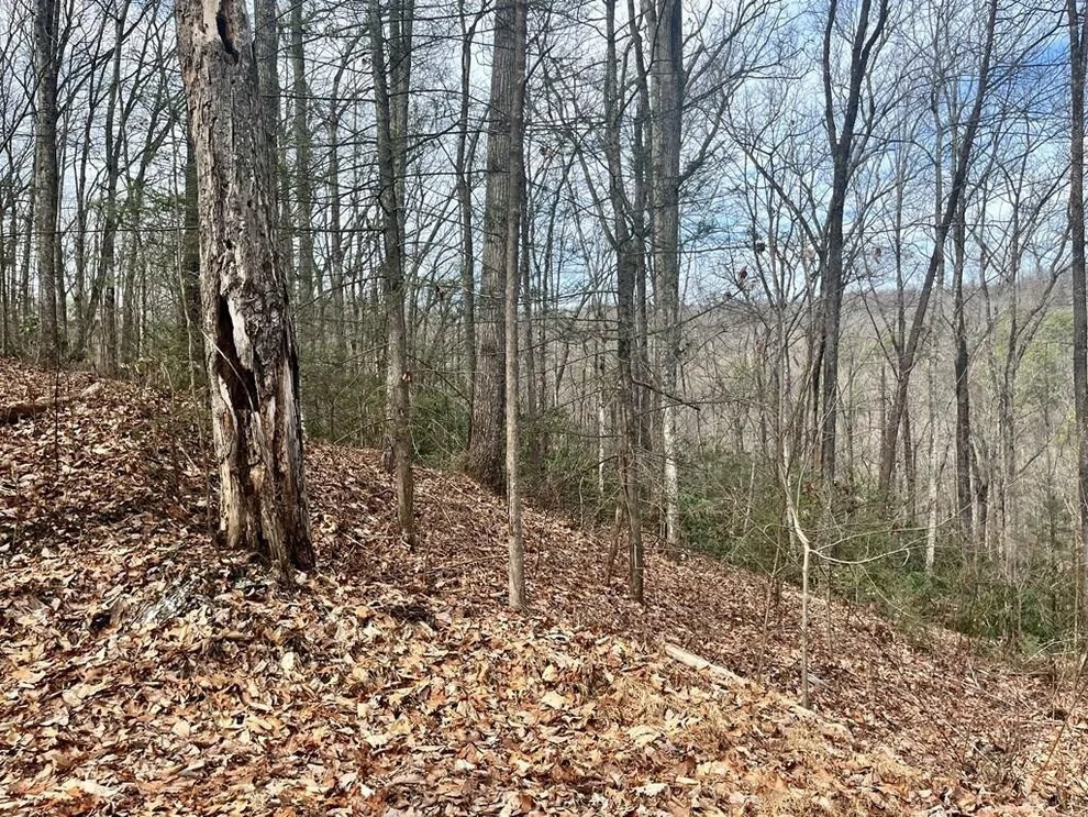Unit for sale at 4 Carter Plaza Drive, Gatlinburg, TN 37738