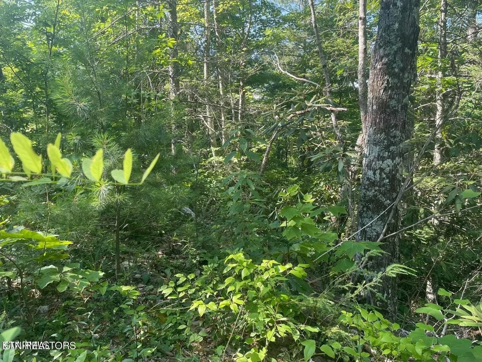 Unit for sale at 1 Sycamore St, Sevierville, TN 37876