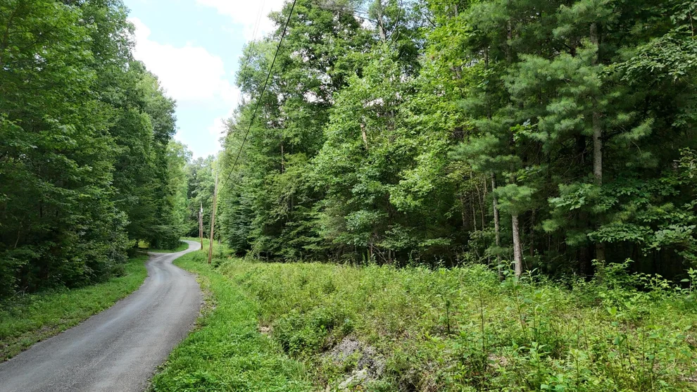 Unit for sale at 1314 Clifton Cemetery Road, Spring City, TN 37381