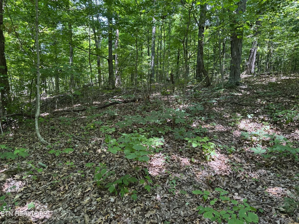 Unit for sale at 68 Friendship South Rd, Afton, TN 37616