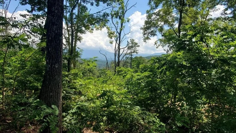 Unit for sale at 0 Tall Oak Way, Sevierville, TN 37876