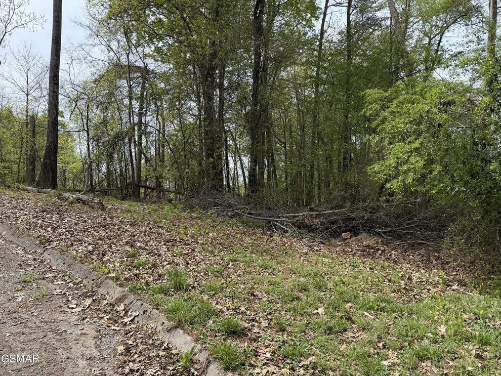 Unit for sale at 6 John Spears Way, Sevierville, TN 37876
