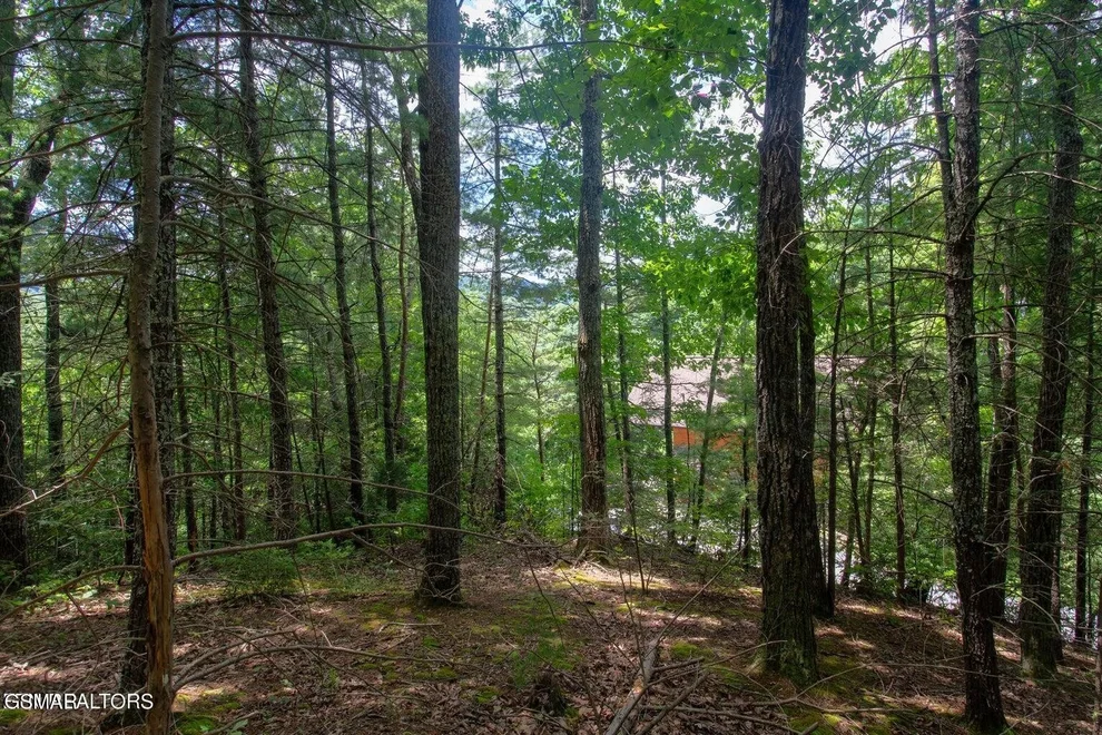 Unit for sale at 13 High Top Loop, Sevierville, TN 37862