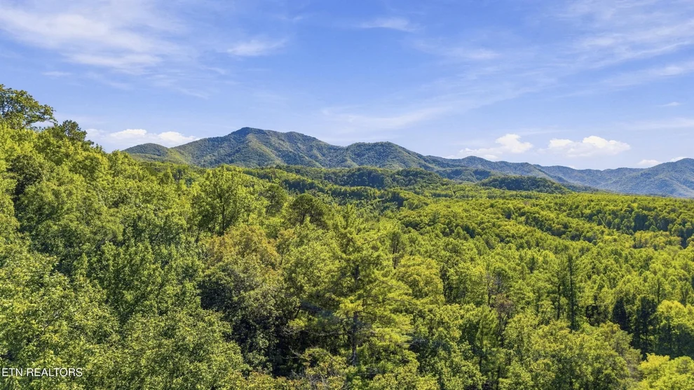 Unit for sale at 910 Windy Hill Way, Cosby, TN 37722